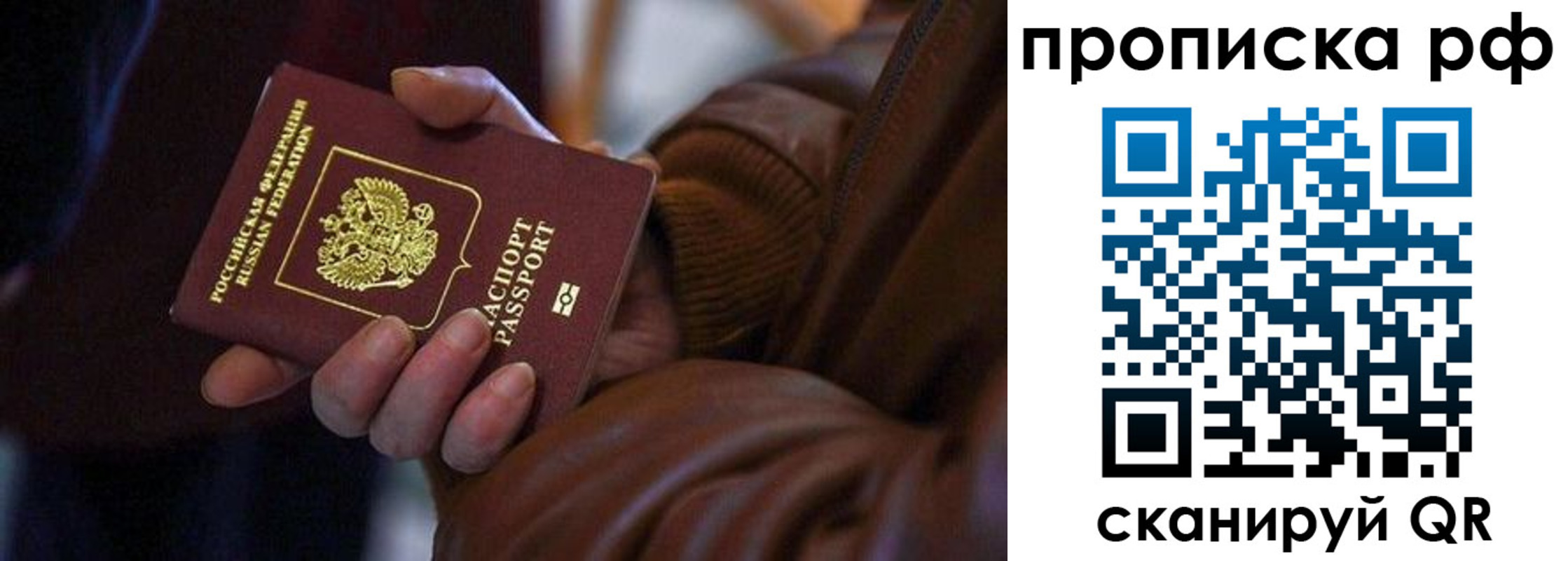 прописка 2025 в Щиграх