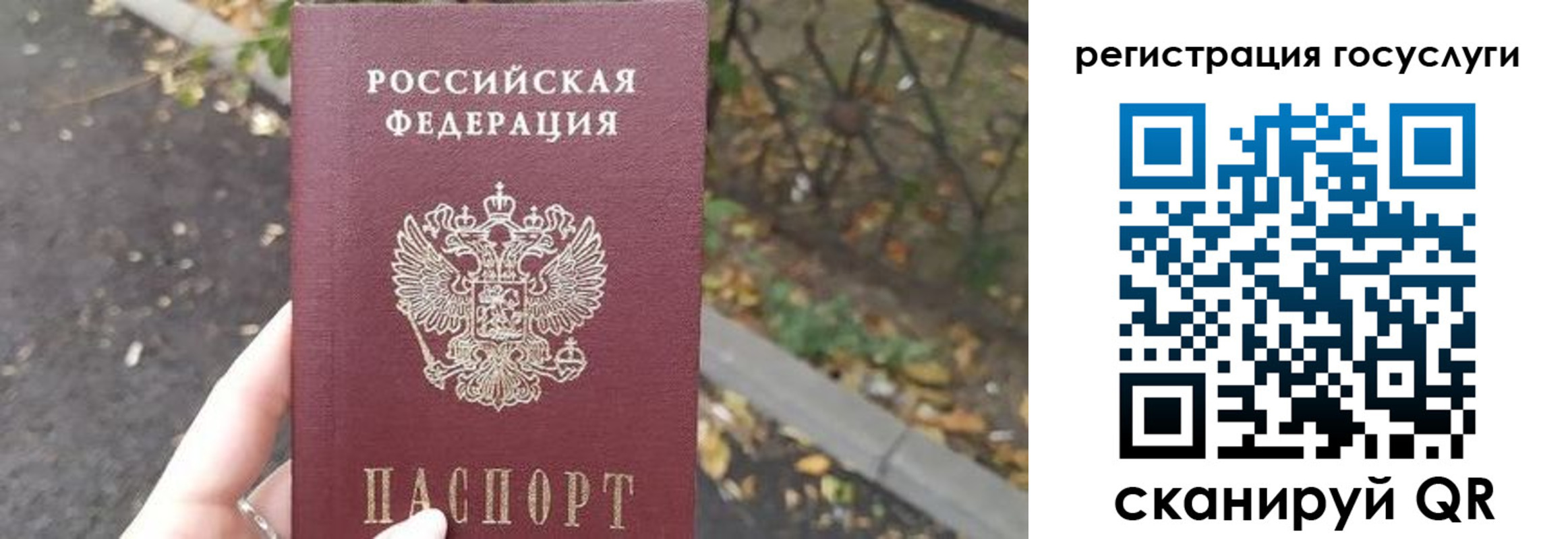 купить прописку в Щиграх